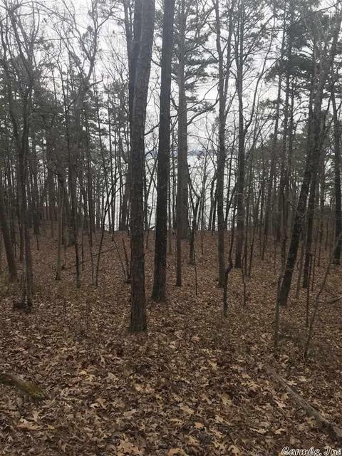 1075 Lakefront Rd, Quitman, AR 72131 photo 23