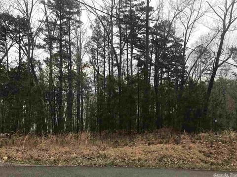 1075 Lakefront Rd, Quitman, AR 72131 photo 20