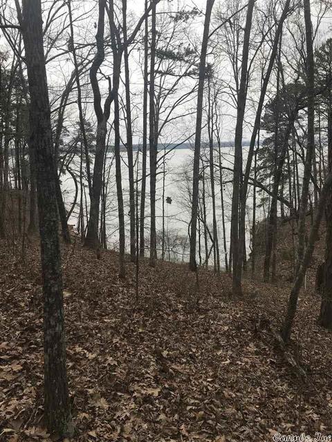 1075 Lakefront Rd, Quitman, AR 72131 photo 33