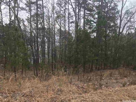 1075 Lakefront Rd, Quitman, AR 72131 photo 11