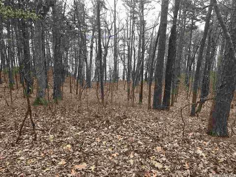 1075 Lakefront Rd, Quitman, AR 72131 photo 7