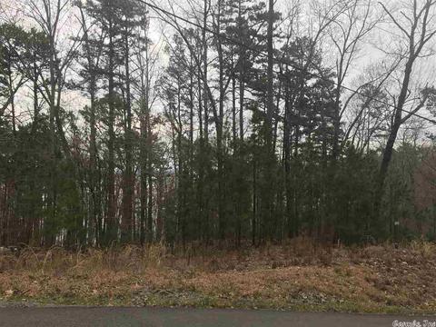 1075 Lakefront Rd, Quitman, AR 72131 photo 21