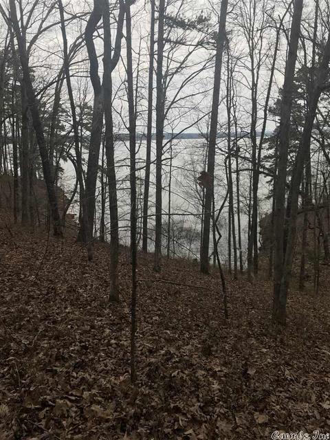 1075 Lakefront Rd, Quitman, AR 72131 photo 2