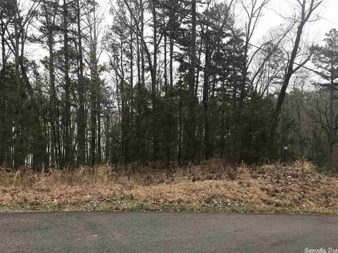 1075 Lakefront Rd, Quitman, AR 72131 photo 18