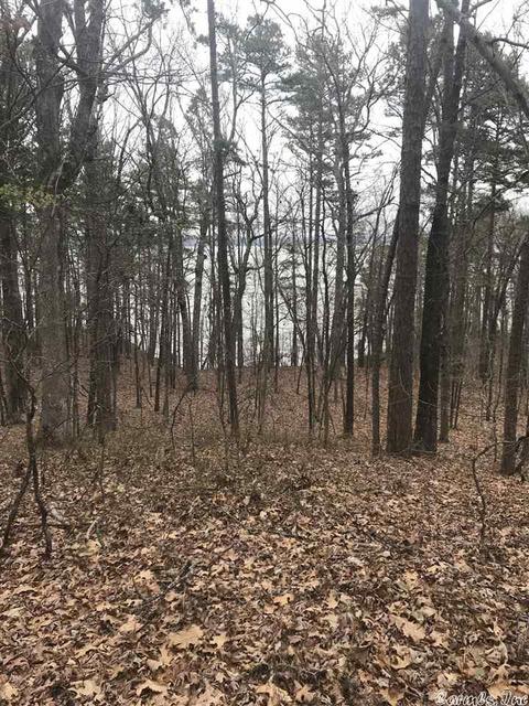 1075 Lakefront Rd, Quitman, AR 72131 photo 8