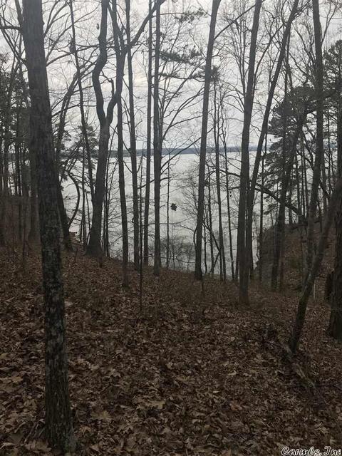 1075 Lakefront Rd, Quitman, AR 72131 photo 34