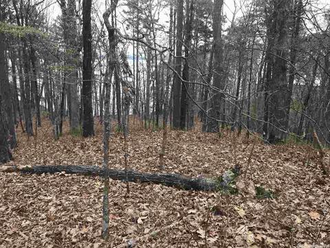 1075 Lakefront Rd, Quitman, AR 72131 photo 5