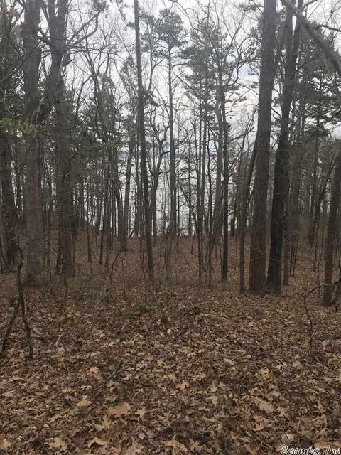 1075 Lakefront Rd, Quitman, AR 72131 photo 9