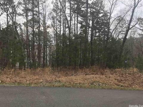 1075 Lakefront Rd, Quitman, AR 72131 photo 17
