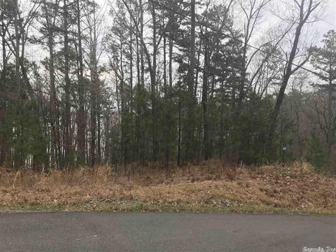 1075 Lakefront Rd, Quitman, AR 72131 photo 19