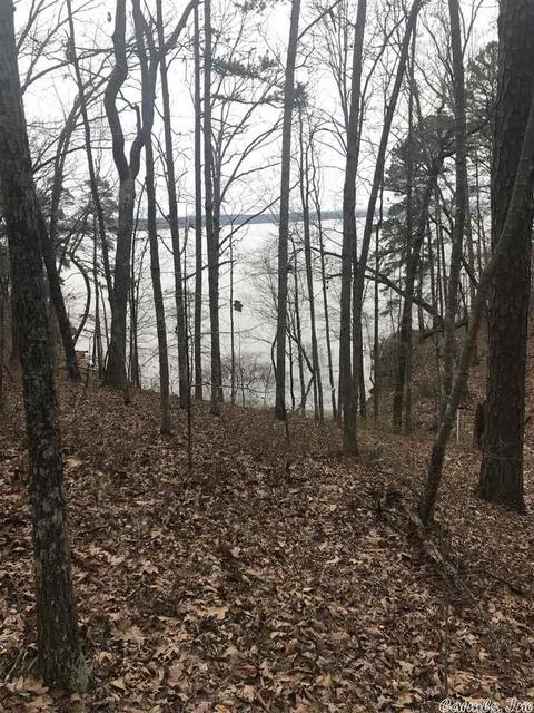 1075 Lakefront Rd, Quitman, AR 72131 photo 31