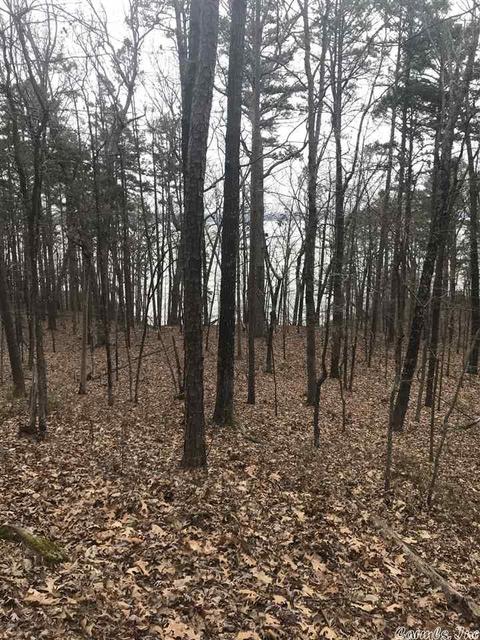 1075 Lakefront Rd, Quitman, AR 72131 photo 22