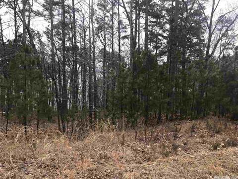 1075 Lakefront Rd, Quitman, AR 72131 photo 10
