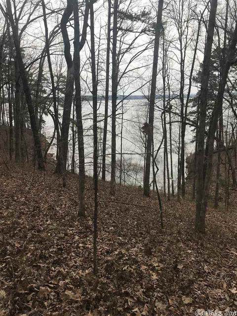 1075 Lakefront Rd, Quitman, AR 72131 photo 35