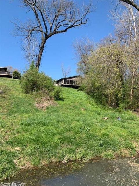 240 S 2nd St, Mammoth Spring, AR 72554 photo 18