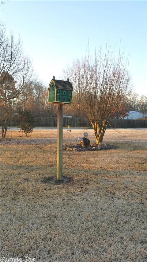 102 NW Third, Mcrae, AR 72102 photo 8