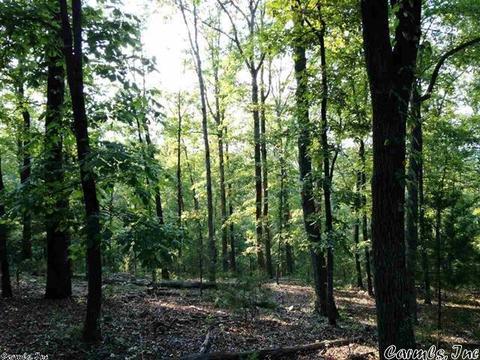 1115 Gaylor Rd, Mountain View, AR 72560 photo 15