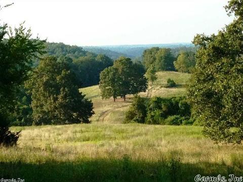 1115 Gaylor Rd, Mountain View, AR 72560 photo 3