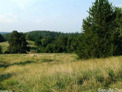 1115 Gaylor Rd, Mountain View, AR 72560 photo 17