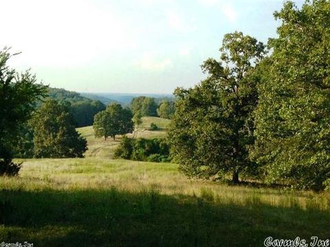 1115 Gaylor Rd, Mountain View, AR 72560 photo 16