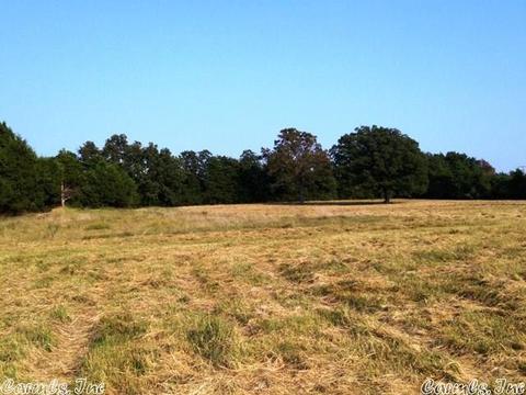 1115 Gaylor Rd, Mountain View, AR 72560 photo 21