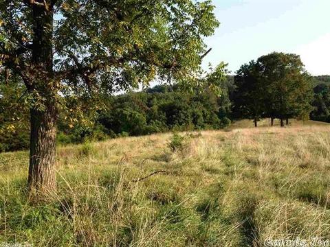 1115 Gaylor Rd, Mountain View, AR 72560 photo 18