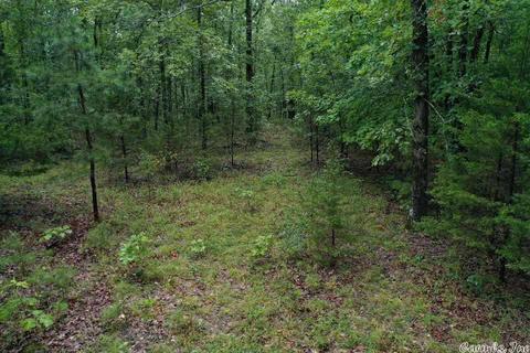 364 Whiterock Rd, Edgemont, AR 72044 photo 11