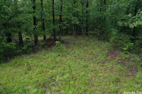 364 Whiterock Rd, Edgemont, AR 72044 photo 14