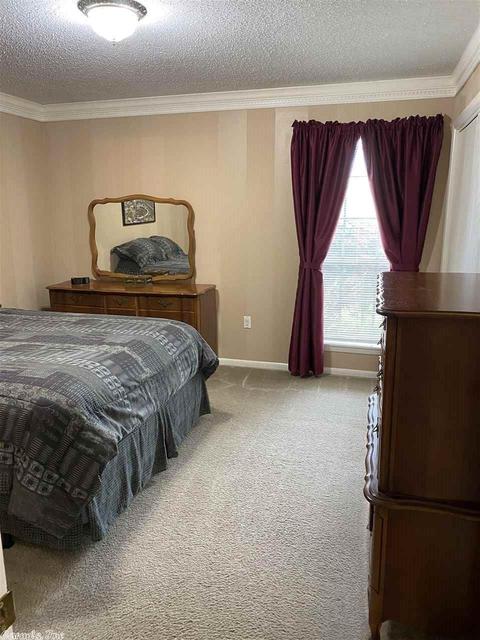 3 Riviera Dr, Conway, AR 72034 photo 26
