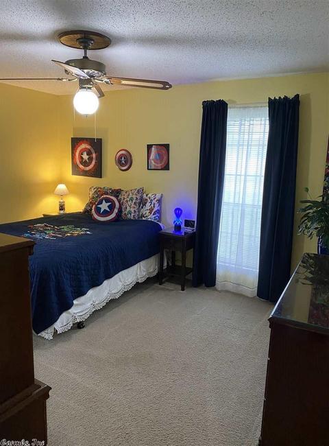 3 Riviera Dr, Conway, AR 72034 photo 25