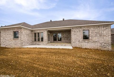 807 Mango Loop, Austin, AR 72007 photo 29