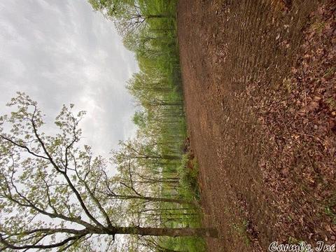 210 Rocky Branch Dr, Austin, AR 72007 photo 1