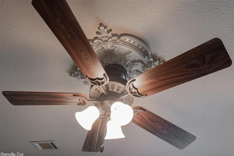 53 Castleton, Ward, AR 72176 photo 8