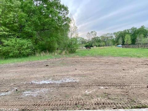 327 Sandy Crk, Ward, AR 72176 photo 19
