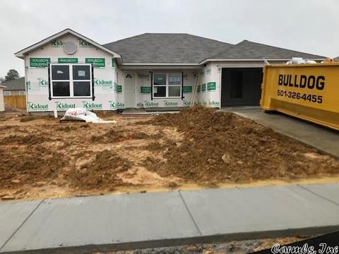 6563 Amalie Dr, Alexander, AR 72002 photo 1
