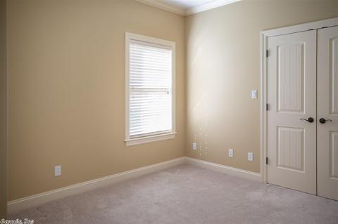 413 Chatham Cv, Jonesboro, AR 72404 photo 29