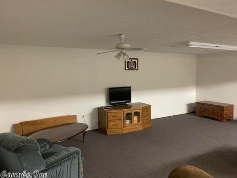 10920 Hwy 336 W, Clinton, AR 72031 photo 15