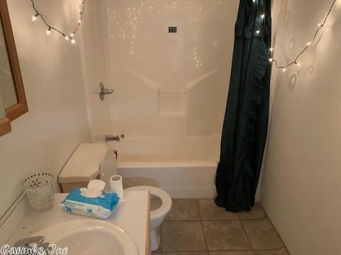 10920 Hwy 336 W, Clinton, AR 72031 photo 11