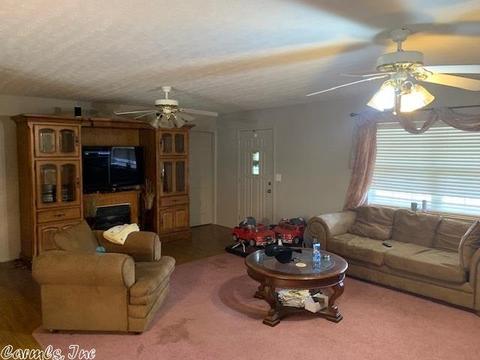 10920 Hwy 336 W, Clinton, AR 72031 photo 3