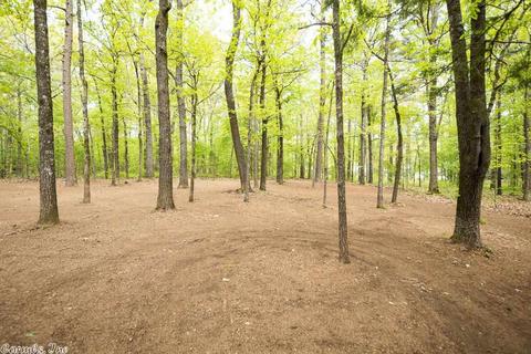 228 Spring Valley Rd, Cabot, AR 72023 photo 12