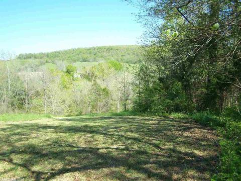 1470 Maple Grove Rd, Leslie, AR 72645 photo 37