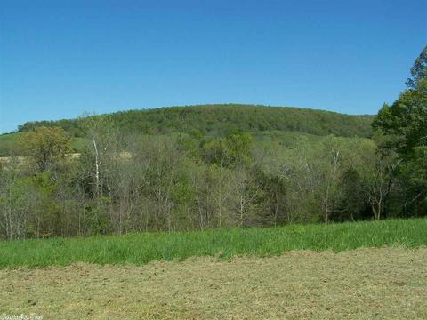 1470 Maple Grove Rd, Leslie, AR 72645 photo 36