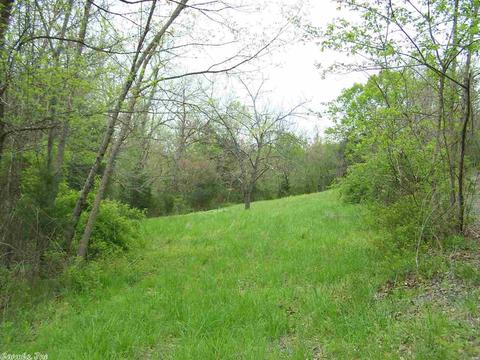 1470 Maple Grove Rd, Leslie, AR 72645 photo 10