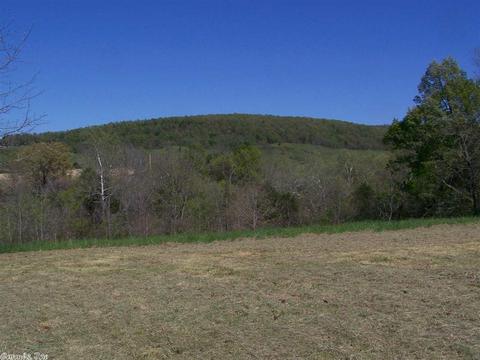 1470 Maple Grove Rd, Leslie, AR 72645 photo 32