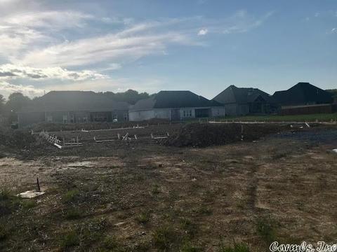 1625 Winterbrook Dr, Conway, AR 72034 photo 2