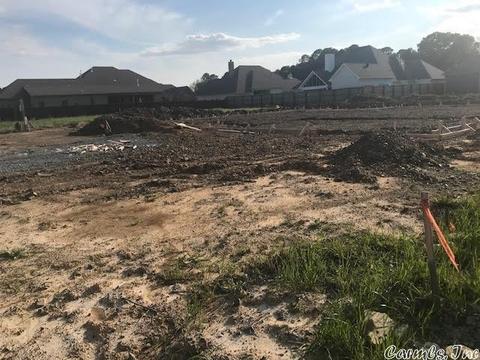 1625 Winterbrook Dr, Conway, AR 72034 photo 4
