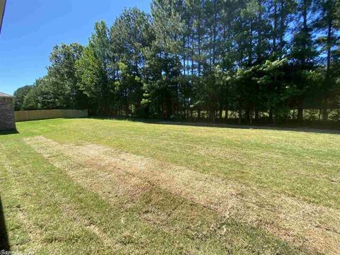 1620 Lil Larry Dr, Cabot, AR 72023 photo 18