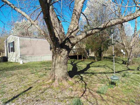 578 Banner Loop, Concord, AR 72523 photo 4