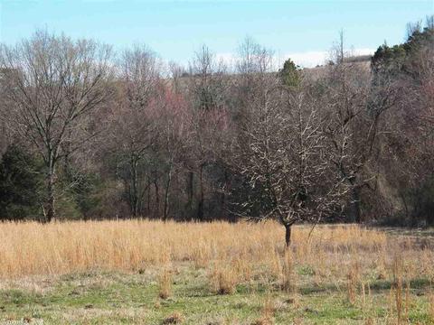 578 Banner Loop, Concord, AR 72523 photo 30