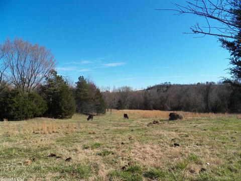 578 Banner Loop, Concord, AR 72523 photo 25